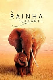 Pôster de The Elephant Queen