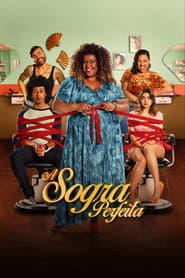 Pôster de A Sogra Perfeita