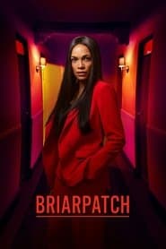 Pôster de Briarpatch