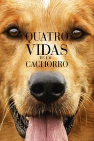 Pôster de Quatro Vidas de um Cachorro