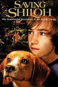 Poster for Shiloh 3