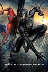 Affiche de Homem-Aranha 3