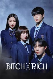 Poster for Bitch X Rich