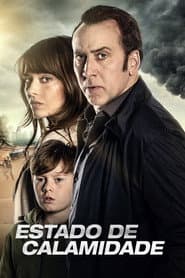 Poster for Estado de Calamidade