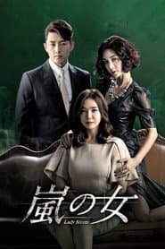 Pôster de 폭풍의 여자
