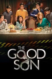 Pôster de The Good Son