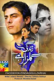 Pôster de زندگی گلزار ہے