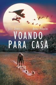 Pôster de Voando para Casa