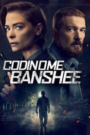 Pôster de Codinome Banshee