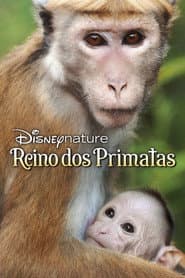 Poster for O Reino dos Primatas