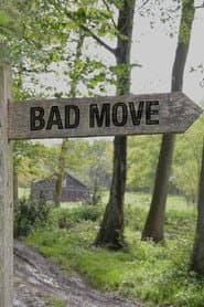 Pôster de Bad Move