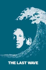 Póster de A Última Onda
