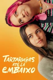 Poster for Turtles All the Way Down
