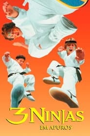 Póster de 3 Ninjas em Apuros