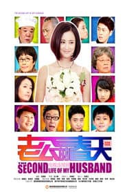 Poster for 老公的春天