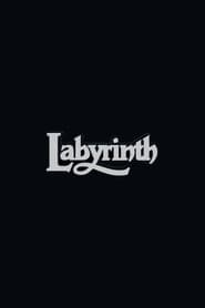 Pôster de Labyrinth 2