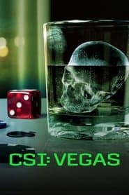 Pôster de CSI: Vegas