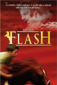 Poster for Meu Amigo Flash