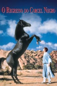 Poster for O Regresso do Corcel Negro