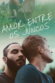 Pôster de Amor Entre os Juncos