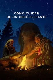 Póster de Como Cuidar de um Bebê Elefante