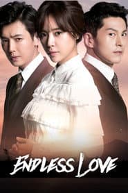 Pôster de 끝없는 사랑