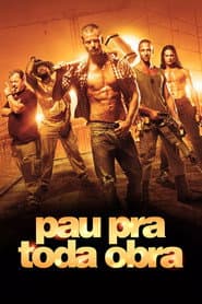 Pôster de Pau pra Toda Obra