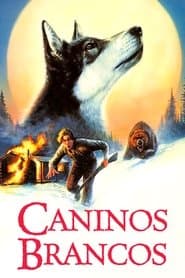 Affiche de Croc-Blanc
