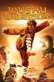 Poster for O Guerreiro Wushu