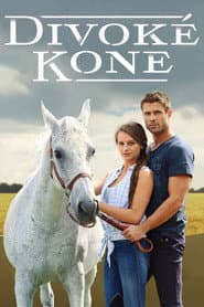 Pôster de Divoké kone