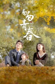 Affiche de 匆匆的青春