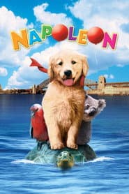 Pôster de Napoleon - As Aventuras de um Cãozinho Valente