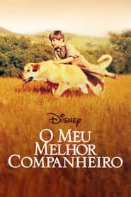 Poster for O Meu Melhor Companheiro