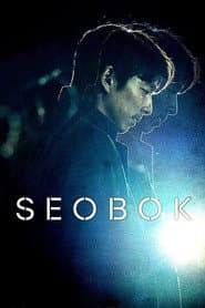 Affiche de Seobok