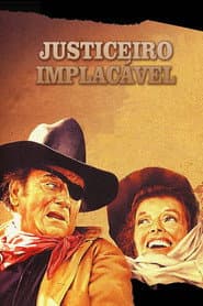 Poster for Justiceiro Implacável