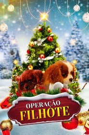 Poster for Operação Filhote