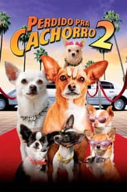 Poster for Perdido pra Cachorro 2