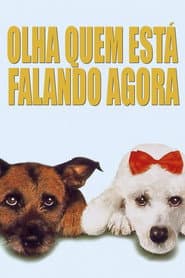 Póster de Olha Quem Está Falando Agora