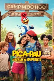 Pôster de Pica-Pau: As Férias no Acampamento