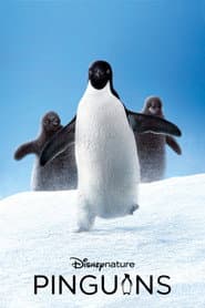 Pôster de Pinguins