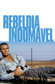 Poster for Rebeldia Indomável