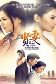 Pôster de 贤妻