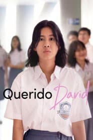 Pôster de Querido David
