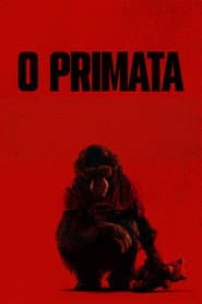 Affiche de O Primata