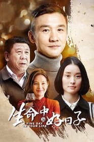 Pôster de 生命中的好日子