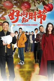 Poster for 好雨知时节