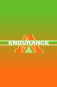 Pôster de Endurance