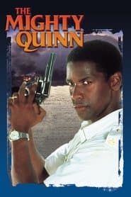 Poster for O Poderoso Quinn