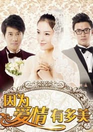 Póster de 因为爱情有多美