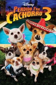 Poster for Perdido pra Cachorro 3
